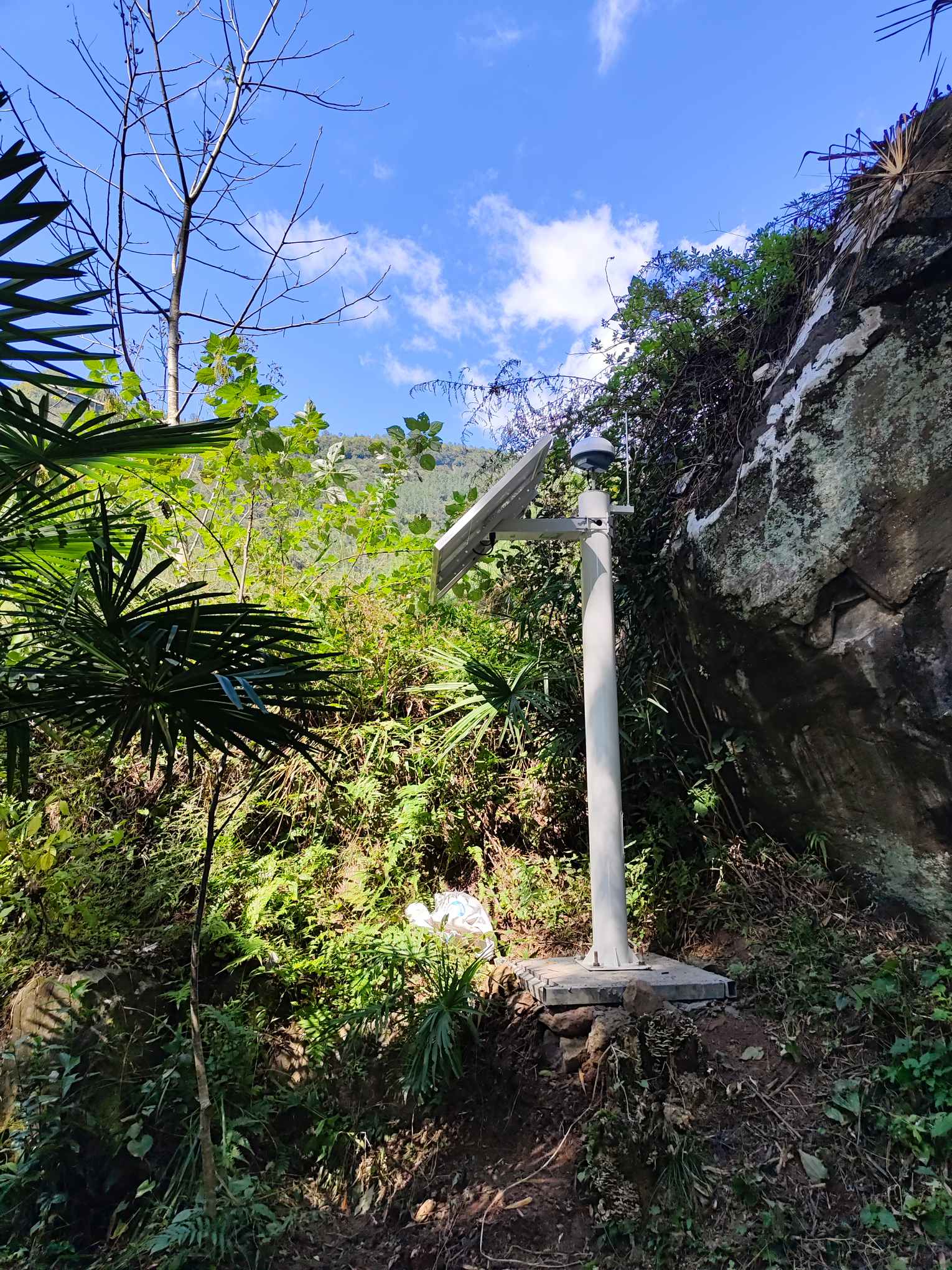 四川路桥镇巴( 川陕界 ) 至广安高速公路川王段