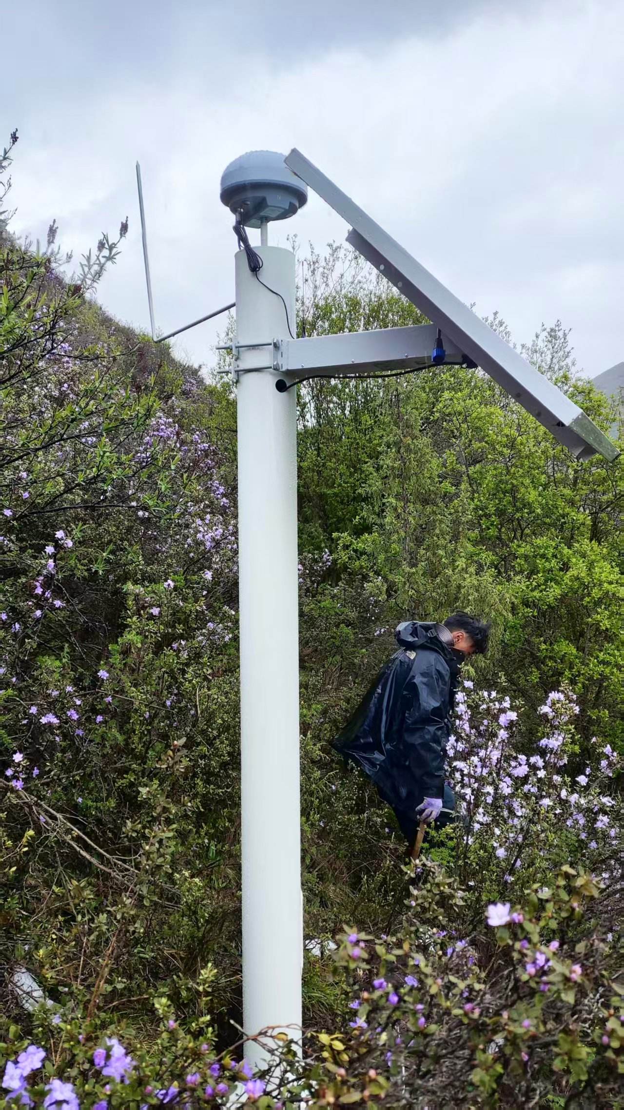 青海同赛一标龙藏山隧道口边坡