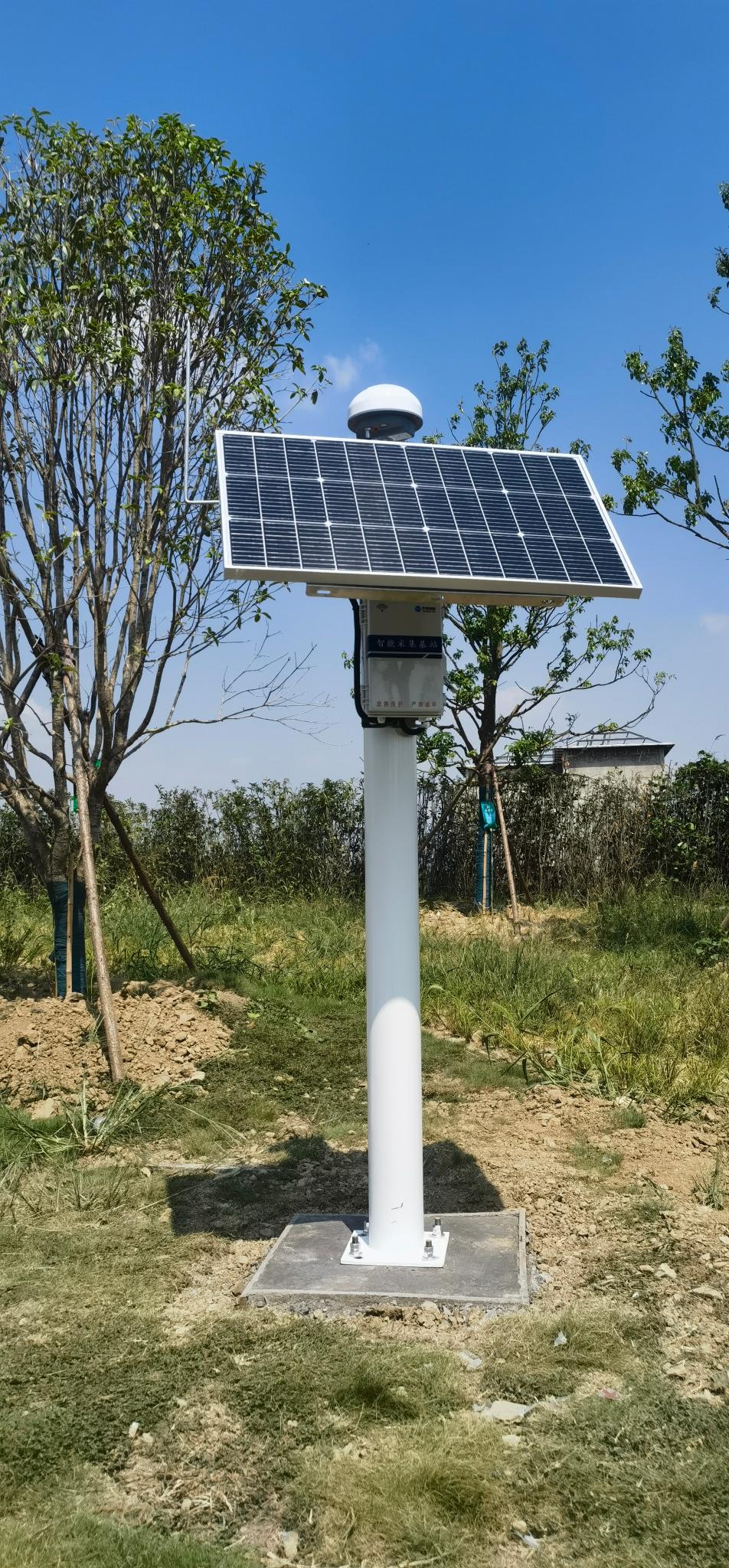 钟祥市龙山游泳馆钢结构网架监测